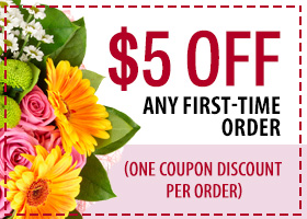 $5 off any first-time order
