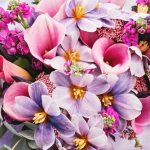 Pink,Violet,Autumn,Colorful,Fall,Bouquet.,Beautiful,Flower,Composition,With