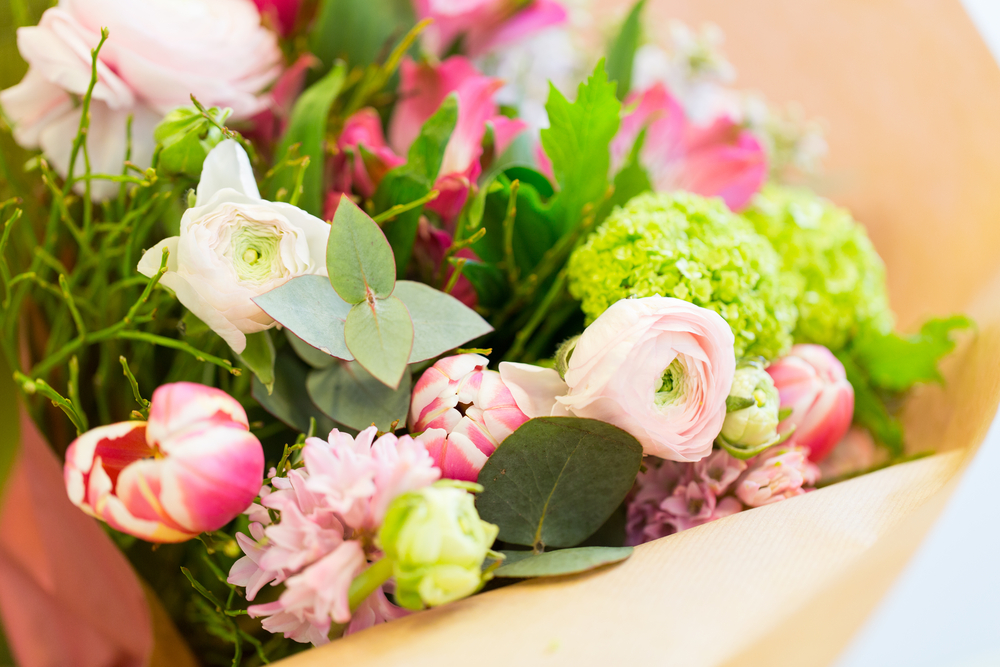 Gardening,,floristry,,sale,,holidays,and,flora,concept, ,close,up