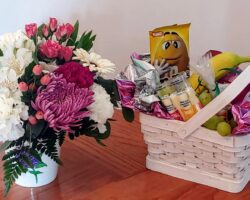 Gift And Fruit 23