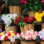 Colorful,Peony,,Roses,And,Other,Flowers,At,The,Entry,To