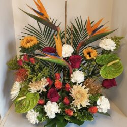 Img 20250717 113938292 Hdr~2