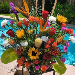 Img 20250723 122255053 Hdr