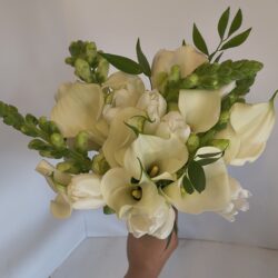 Img 20250918 143134286