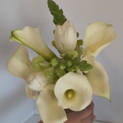 Img 20250918 143158016