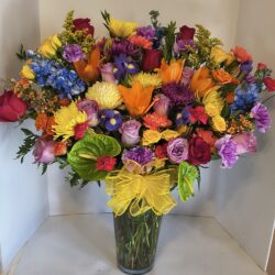 Img 20250919 123045233 Hdr