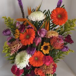 Img 20251228 100228588