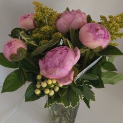 Img 20260201 141808301 (1)