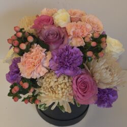 Img 20260208 082817200