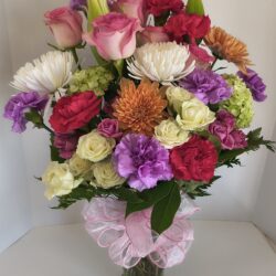 Img 20260222 130237916 Hdr (1)