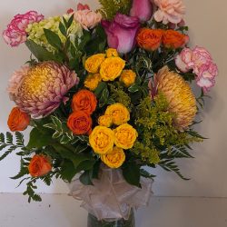 Img 20260919 092223 (3)