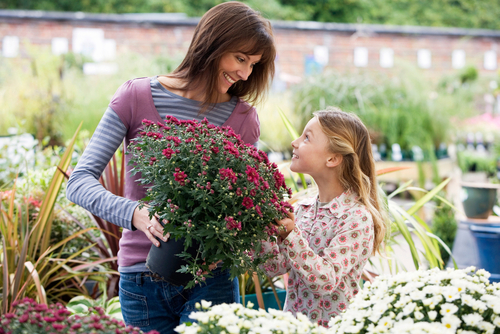 Mother,And,Daughter,Choosing,Plants,In,Garden,Center,Store,Holding